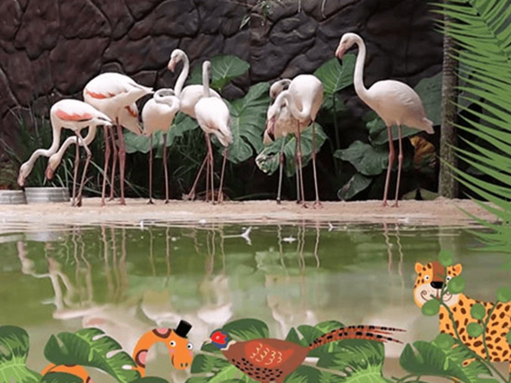 Selva Viva - Zoológico