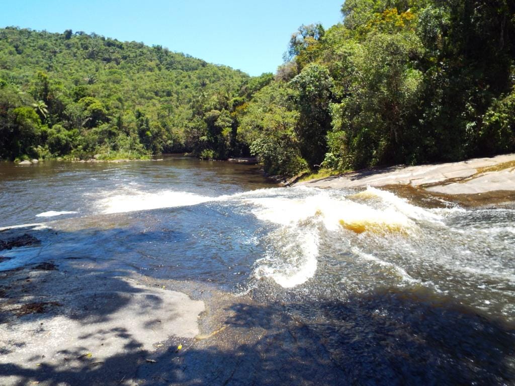 Núcleo Santa Virgínia