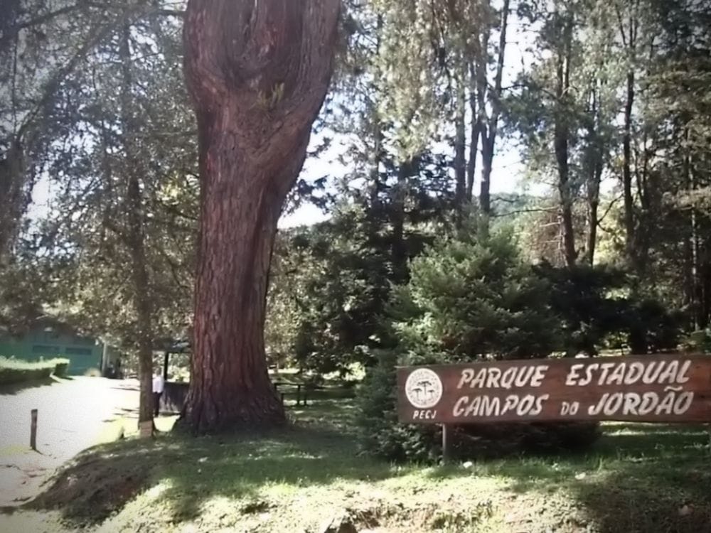 Parque Estadual