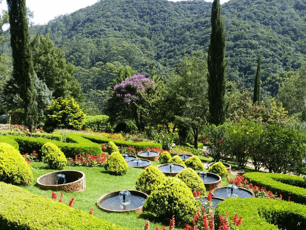 Jardim dos Pinhais - Ecco