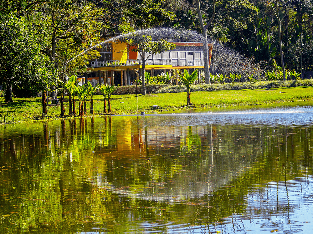 Parque da Cidade